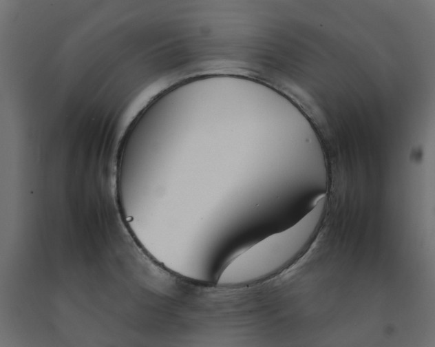 X0000092101188200710101115