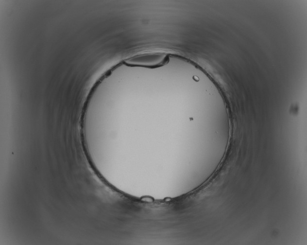 X0000092101189200710101115