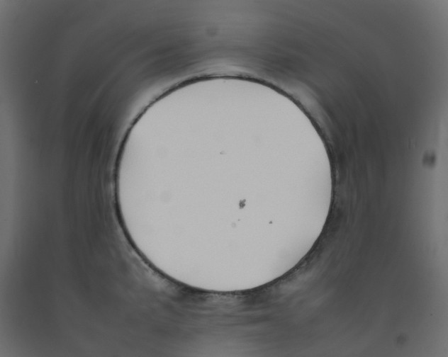 X0000092101191200710101115