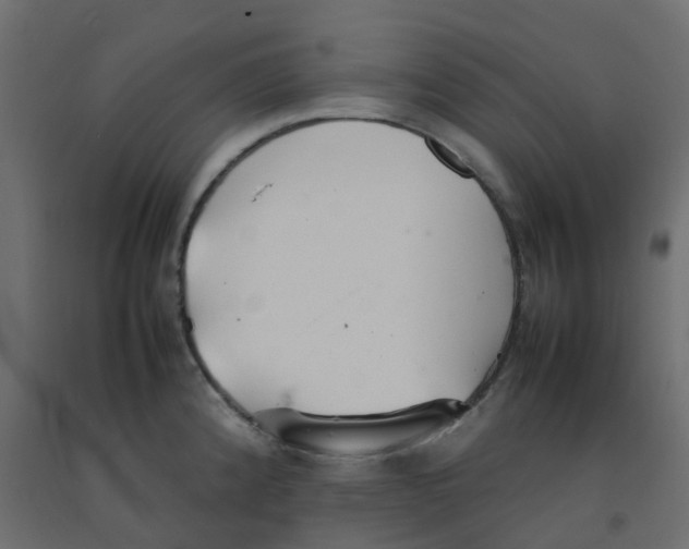 X0000092101192200710101115