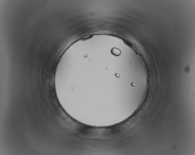 X0000092101193200710101115