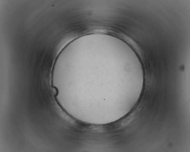 X0000092101194200710101115