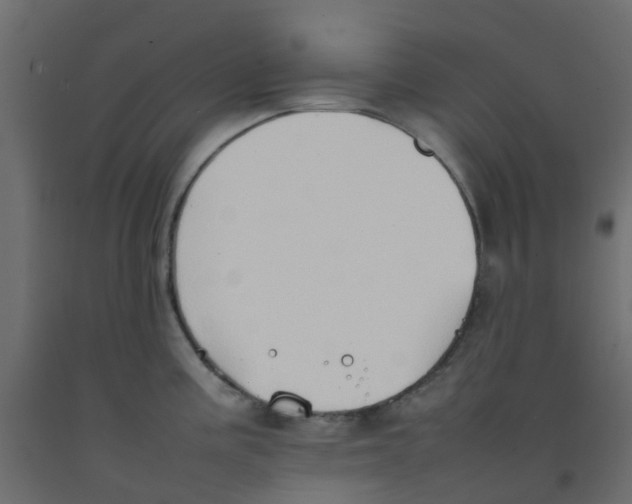 X0000092101195200710101115