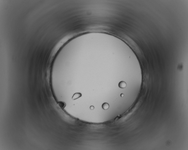 X0000092101196200710101115