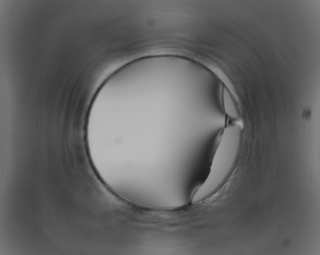 X0000092101197200710101115