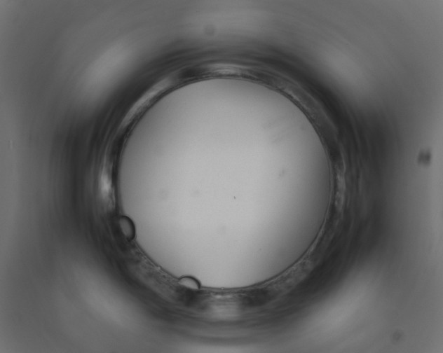 X0000092101198200710101115