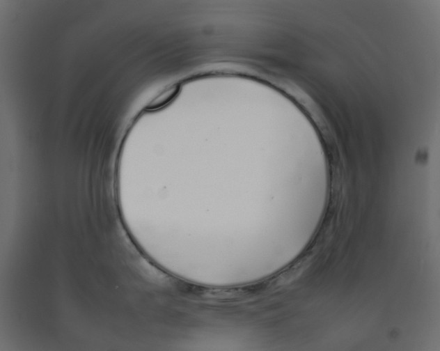 X0000092101199200710101115