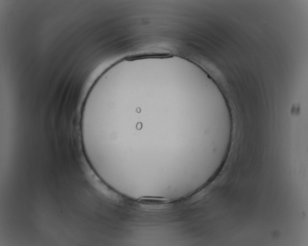 X0000092101200200710101115