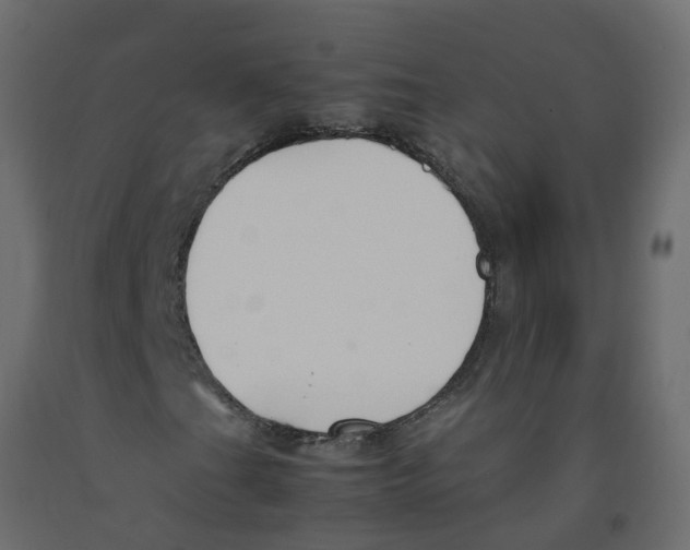 X0000092101201200710101114