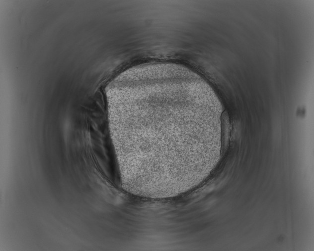 X0000092101202200710101114