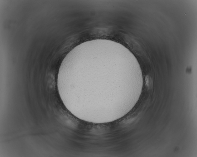 X0000092101203200710101115