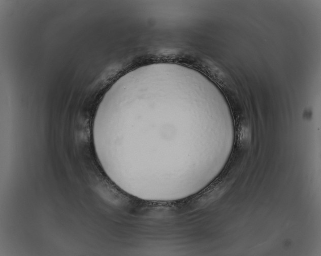 X0000092101204200710101115