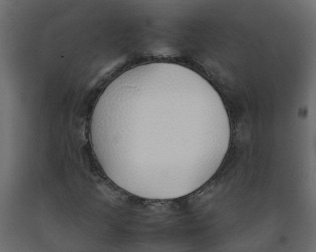 X0000092101205200710101115