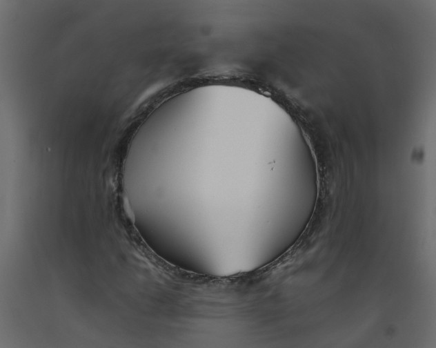 X0000092101206200710101115