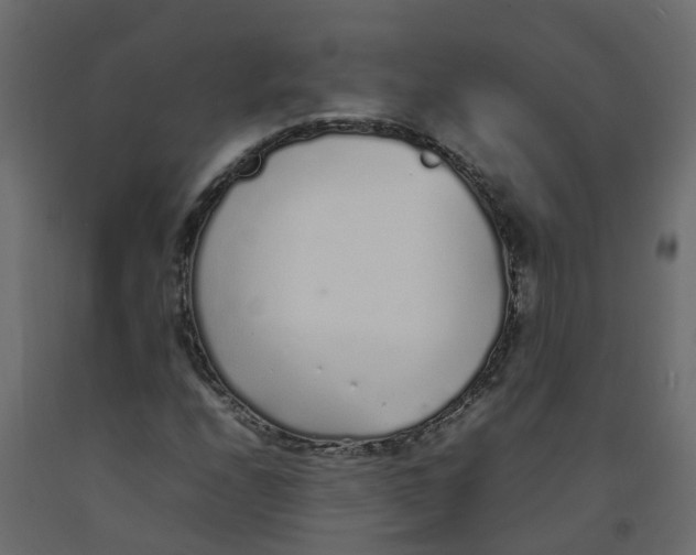 X0000092101208200710101115