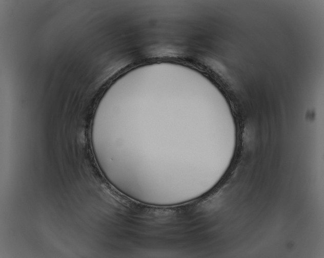 X0000092101209200710101115