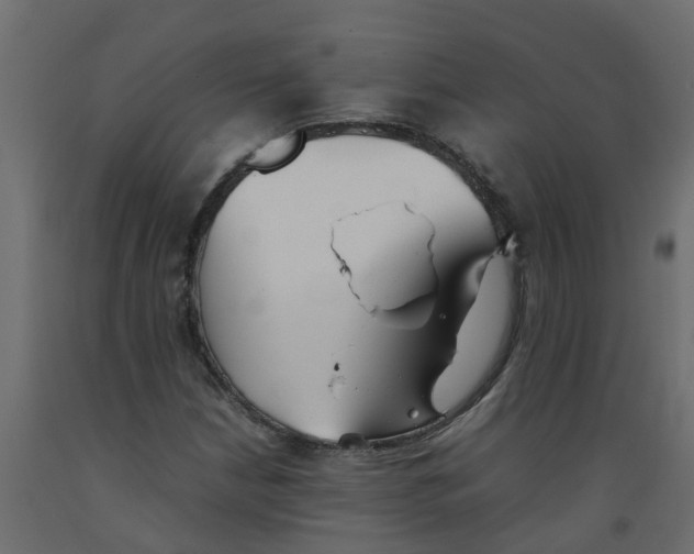 X0000092101210200710101115