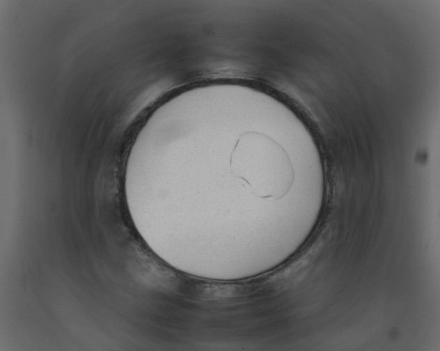 X0000092101211200710101115