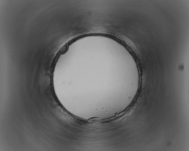 X0000092101212200710101115