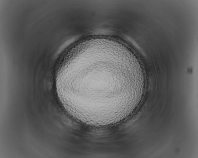 X0000092101213200710101115