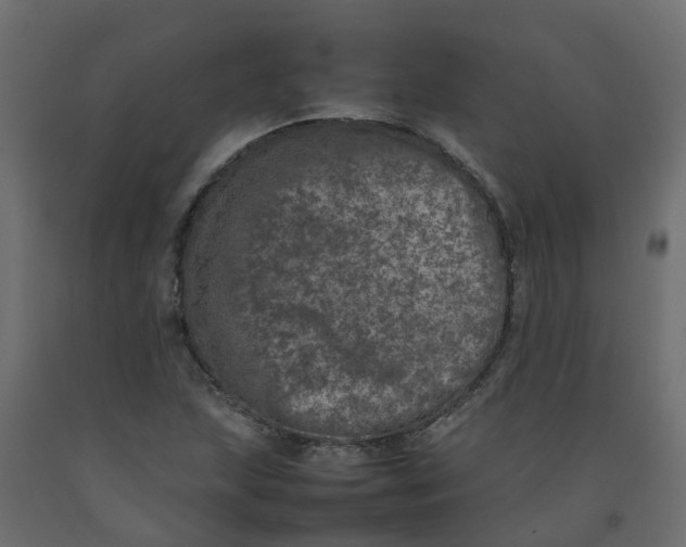 X0000092101215200710101115