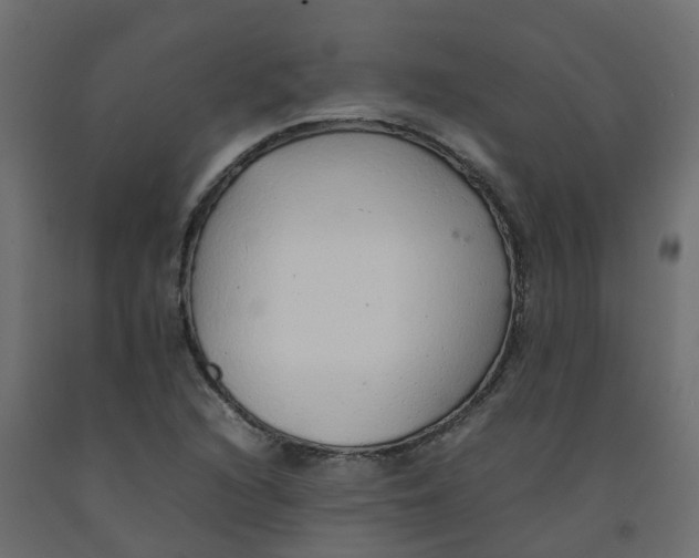 X0000092101216200710101115