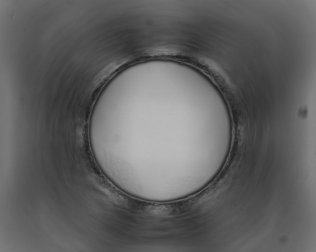 X0000092101217200710101115