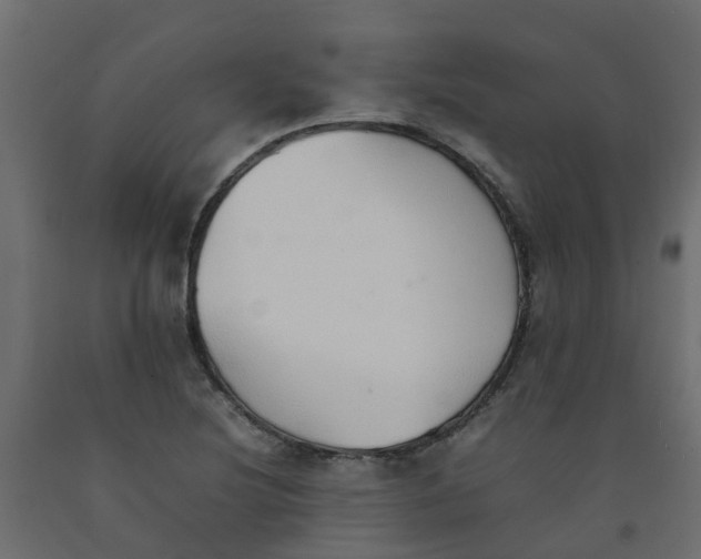 X0000092101220200710101115