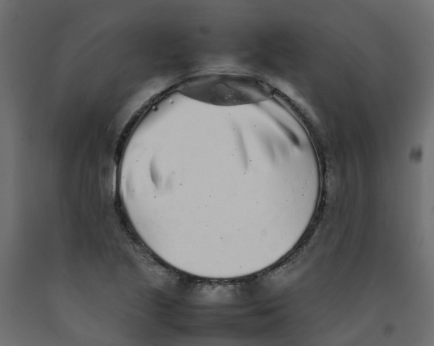 X0000092101221200710101115