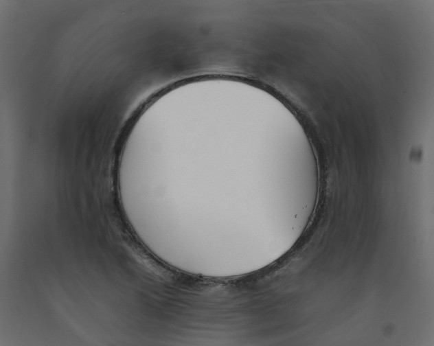 X0000092101222200710101115