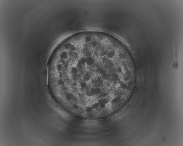 X0000092101223200710101115