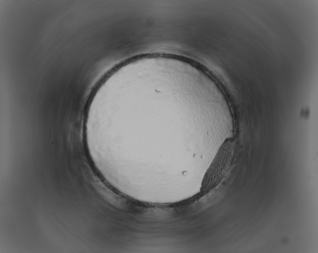 X0000092101224200710101115