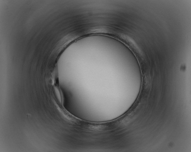 X0000092101225200710101115