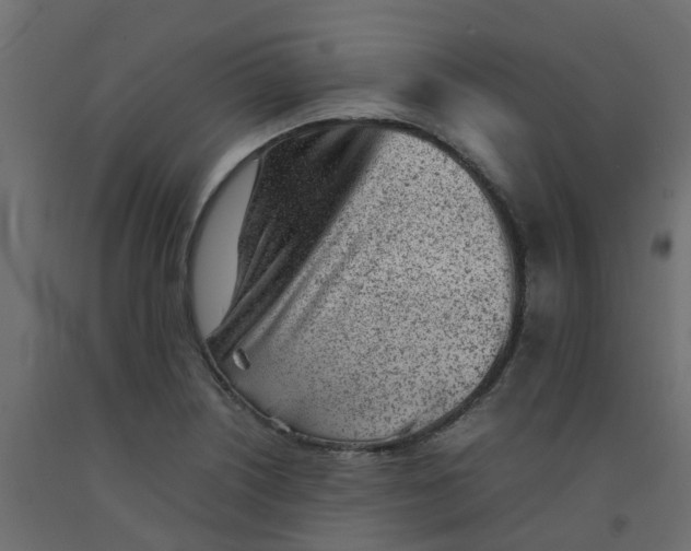 X0000092101226200710101115