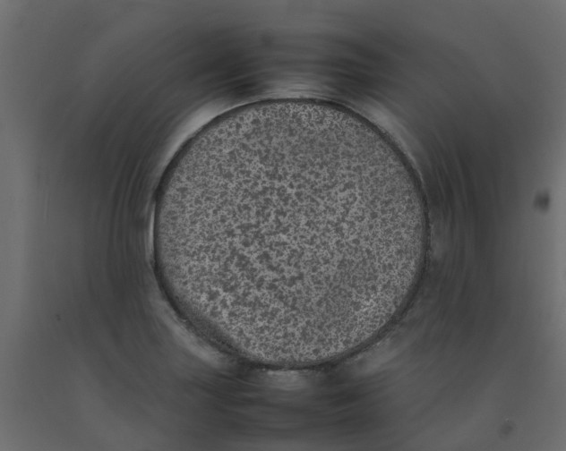 X0000092101227200710101115