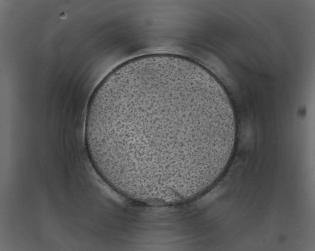 X0000092101228200710101115