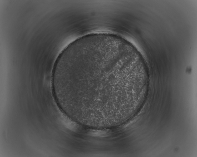 X0000092101229200710101115