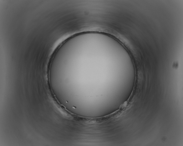 X0000092101230200710101115