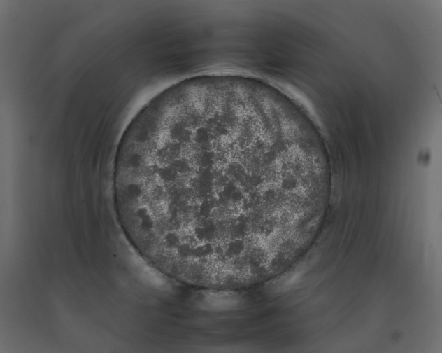 X0000092101231200710101115