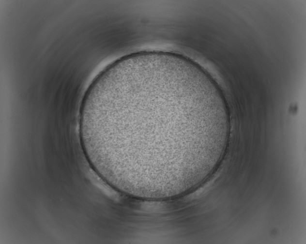 X0000092101232200710101115