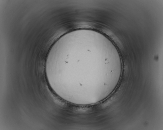 X0000092101233200710101115