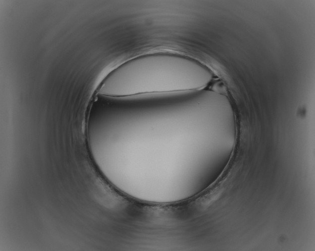 X0000092101234200710101115