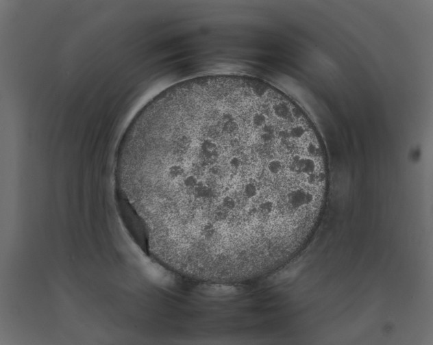 X0000092101235200710101115