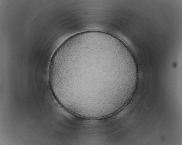 X0000092101236200710101115