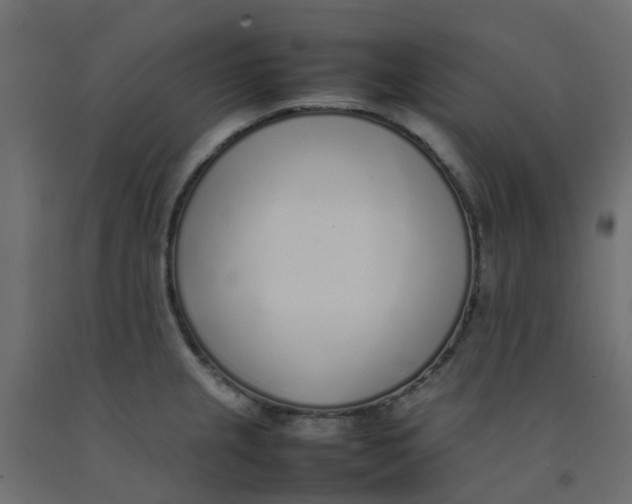 X0000092101237200710101115