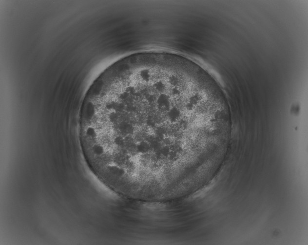 X0000092101239200710101115