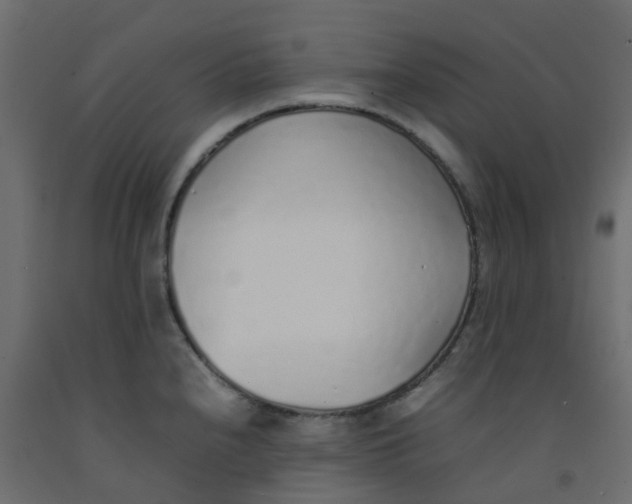 X0000092101240200710101115