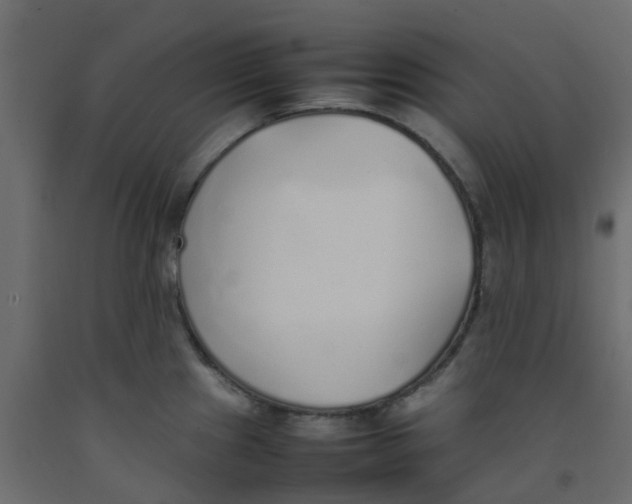 X0000092101241200710101115