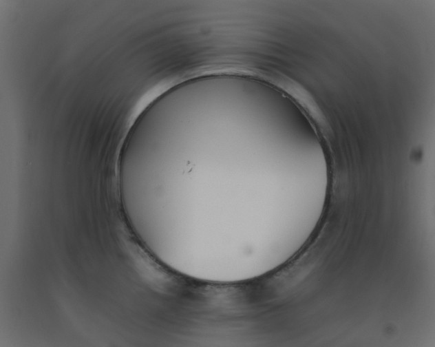 X0000092101242200710101115