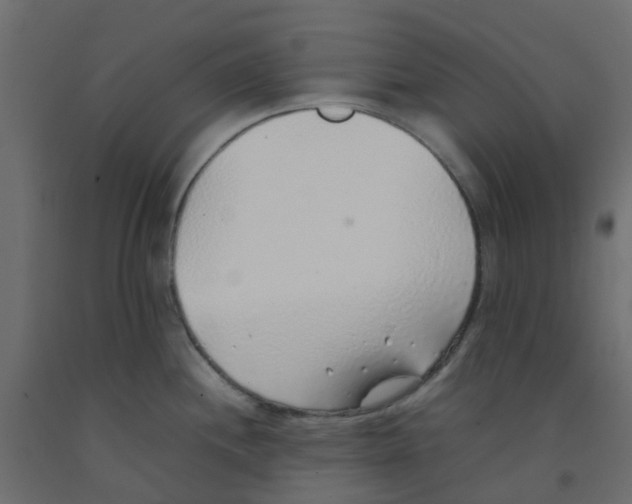 X0000092101244200710101115